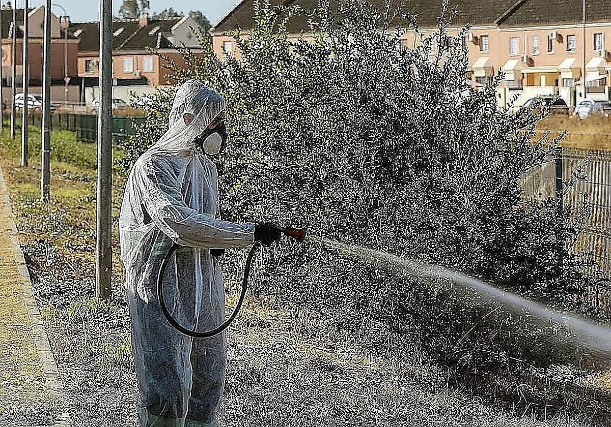 Una mujer de 68 años, segunda víctima mortal por el virus del Nilo en 2026