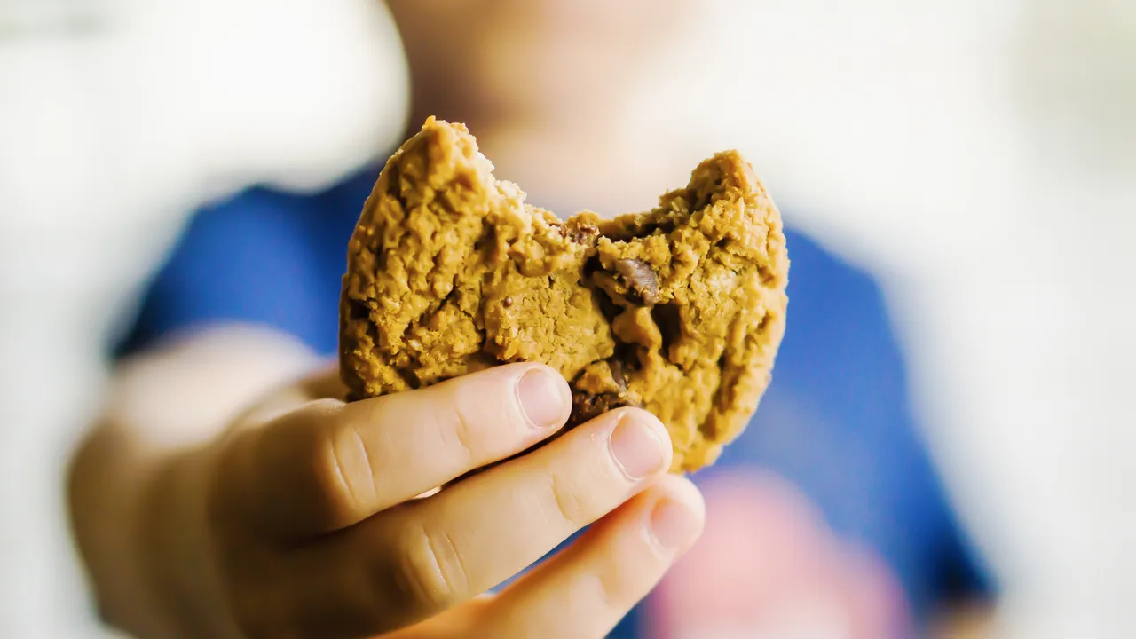 Estos científicos lograron convertir el plástico en galletas
