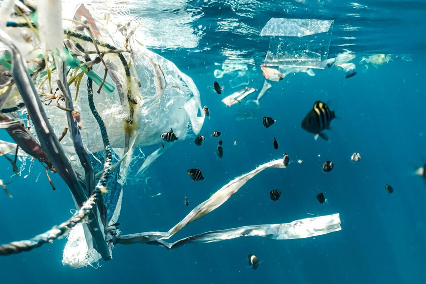 Creíamos que bolsas y pajitas eran el culpable de la contaminación oceánica. Pero lo que llena el gran vertedero del Pacífico es muy diferente