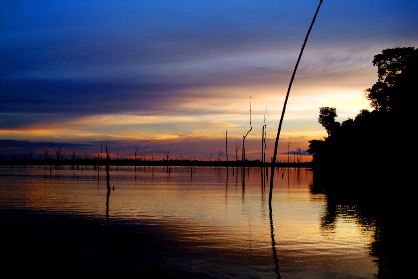 En 1987, Brasil inundó una parte de Amazonas del tamaño de Tenerife para una hidroeléctrica. Fue un desastre sin precedentes