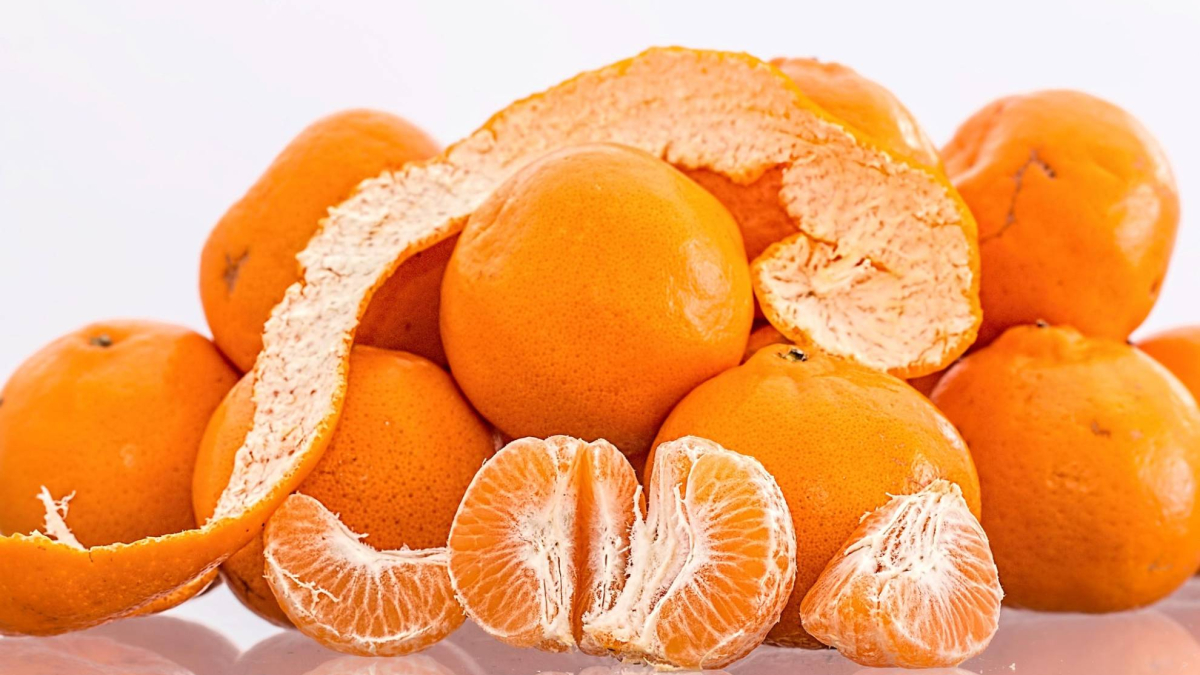 Costa Rica tiró 12.000 toneladas de cáscaras de naranja en 1997 en terreno seco: se convirtió en un bosque tropical