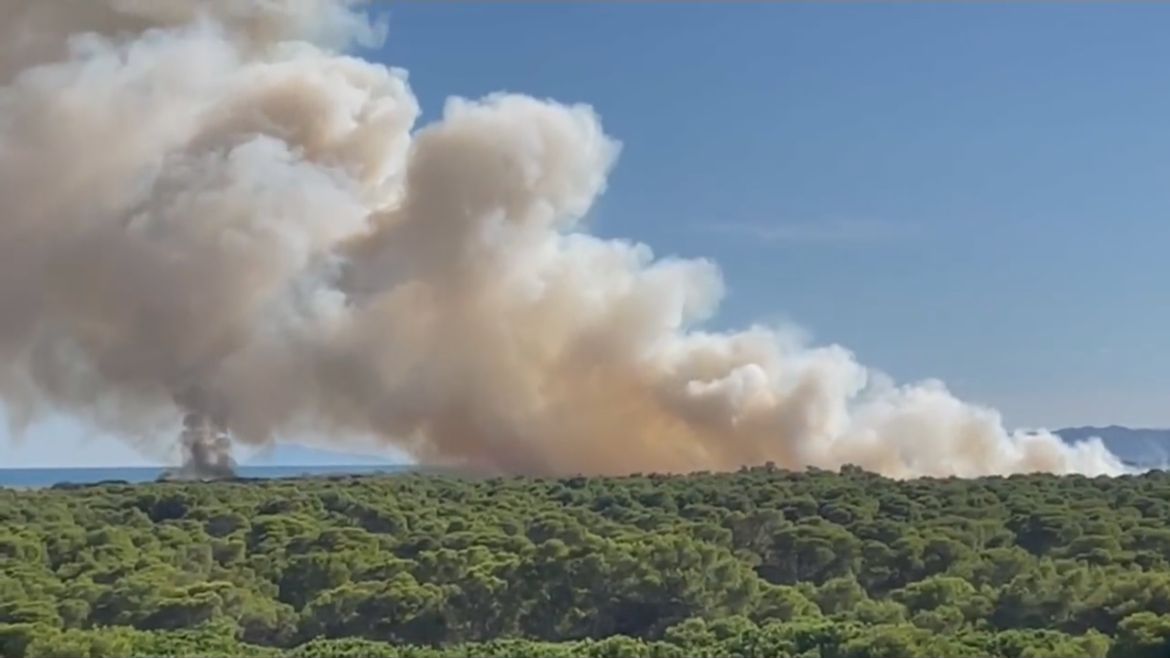 Un incendio en la Devesa del Saler (Valencia) obliga a evacuar el pueblo, los campings y las playas