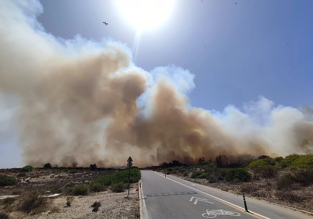 Evacúan El Saler (Valencia), playas y cámpings por el incendio en la Devesa