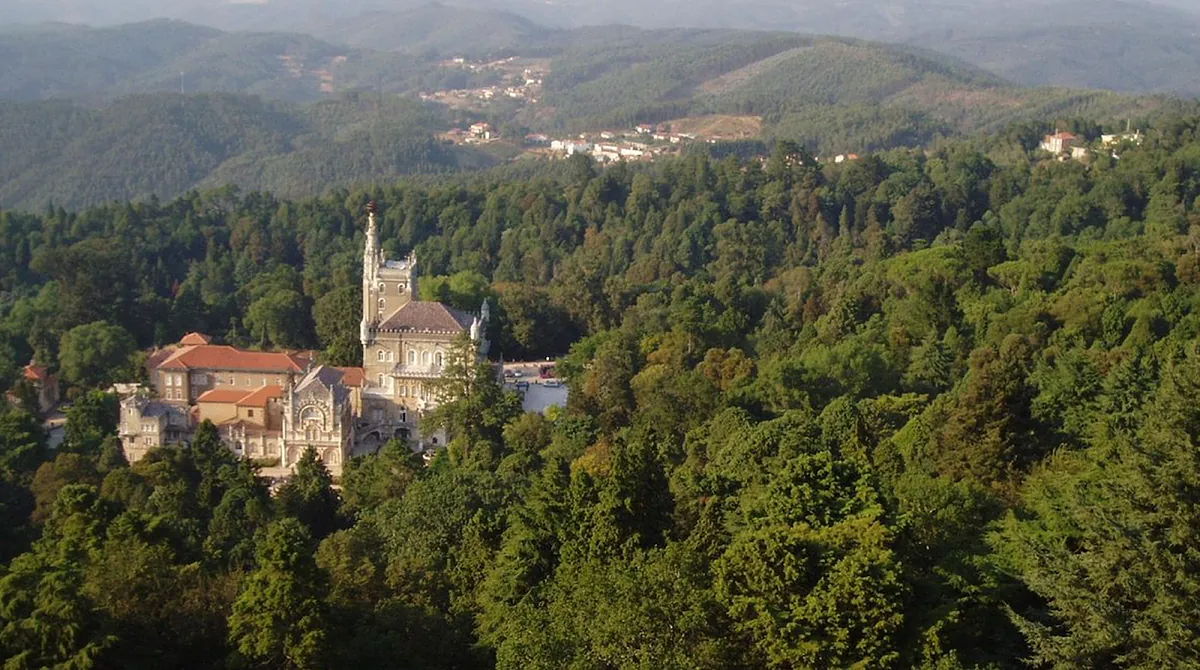 Portugal estrena el primer bosque terapéutico de la Península: sólo hay cuatro en el mundo