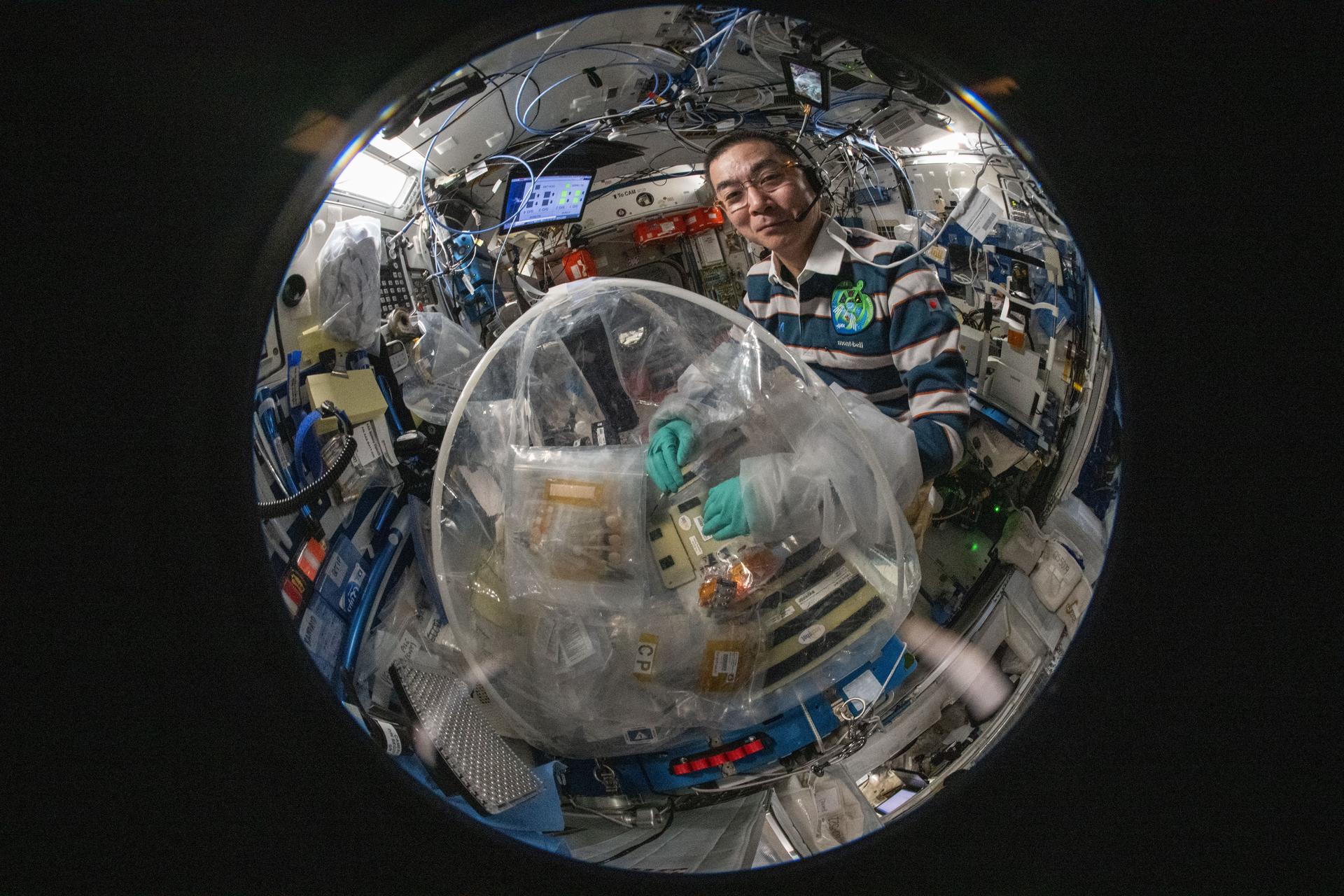 2025 Space Station Science Snapshots