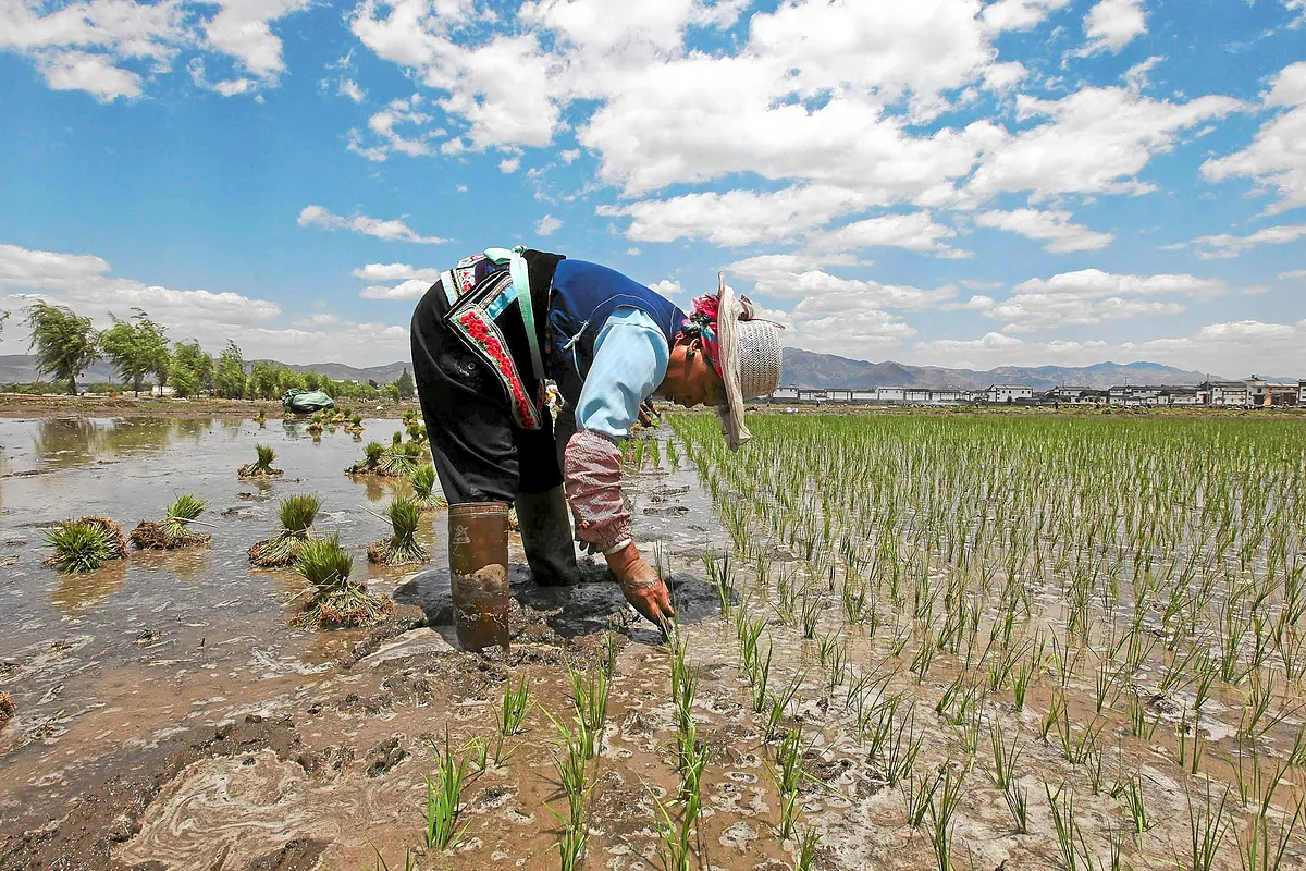 Cómo el libre comercio puede protegernos de El Niño