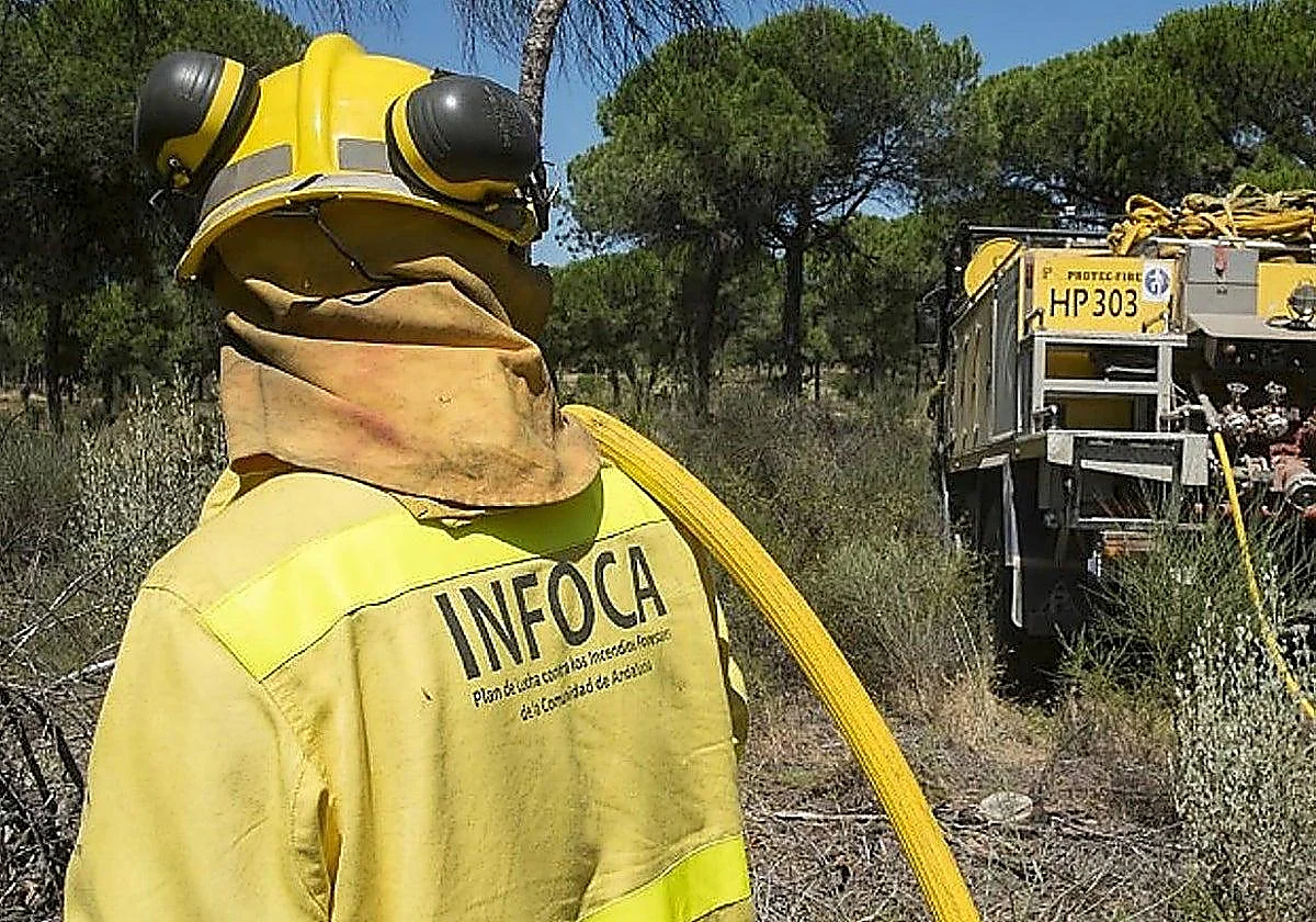 Declarado un incendio forestal en Antequera
