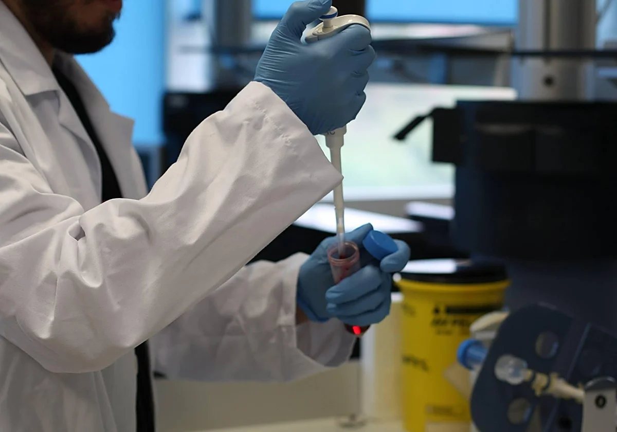 Málaga reúne a expertos que exploran cómo la IA y la tecnología 3D están transformando el estudio de los tejidos