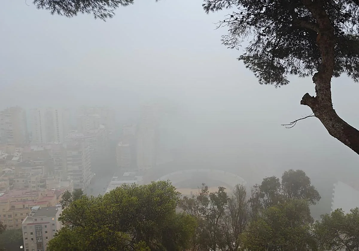 Gran parte de la provincia amanece cubierta de taró: la niebla mítica que nace del mar y que riega los montes de Málaga
