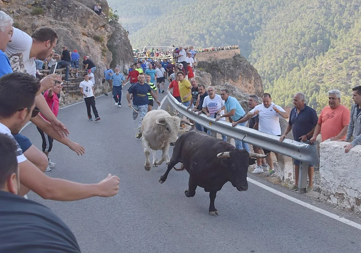 Una mujer de 64 años muere corneada por un toro en un encierro en Albacete
