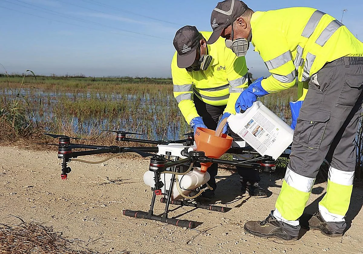 Sanidad declara Alhaurín de la Torre como área en alerta tras detectar mosquitos portadores del virus del Nilo