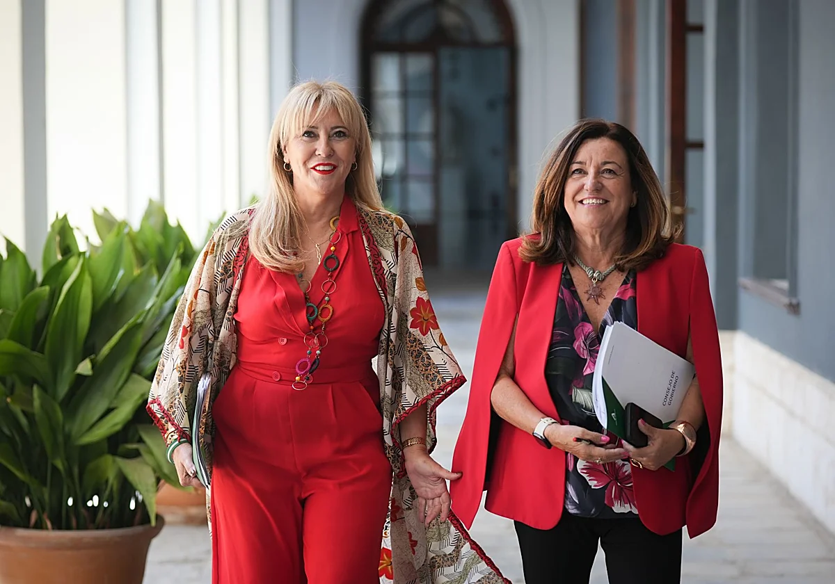 Carmen Castillo: «Aquí no hay que poner paños calientes»