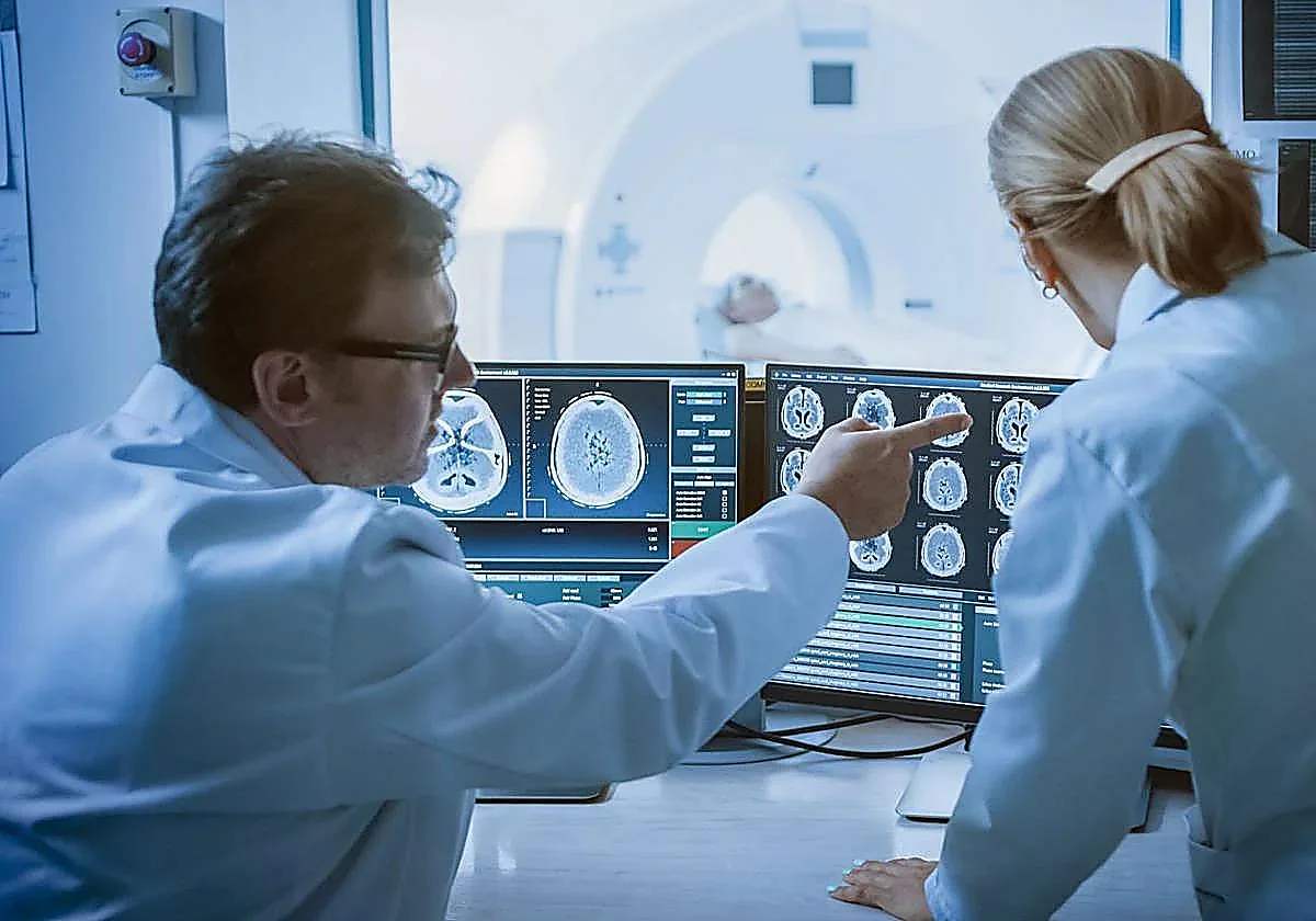 Un estudio pionero desvela qué ocurre en el cerebro durante la menopausia