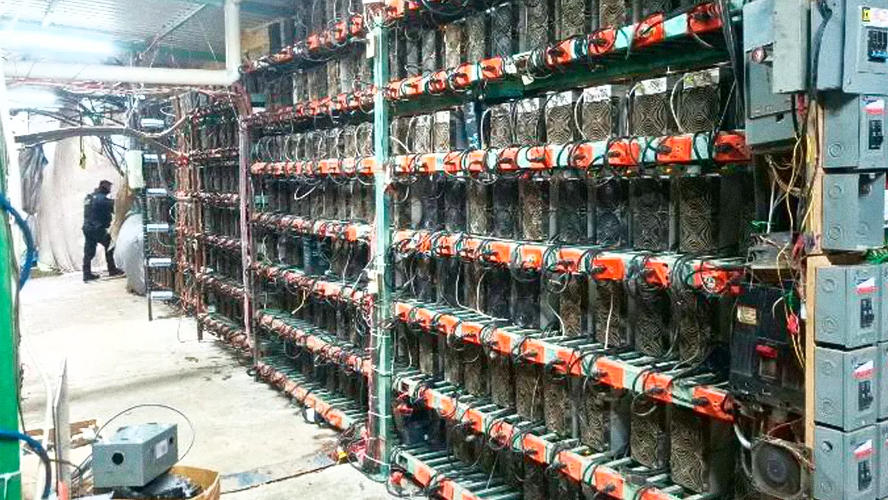 Detectan granja clandestina de criptomonedas en Puebla: del robo de energía al lavado dinero