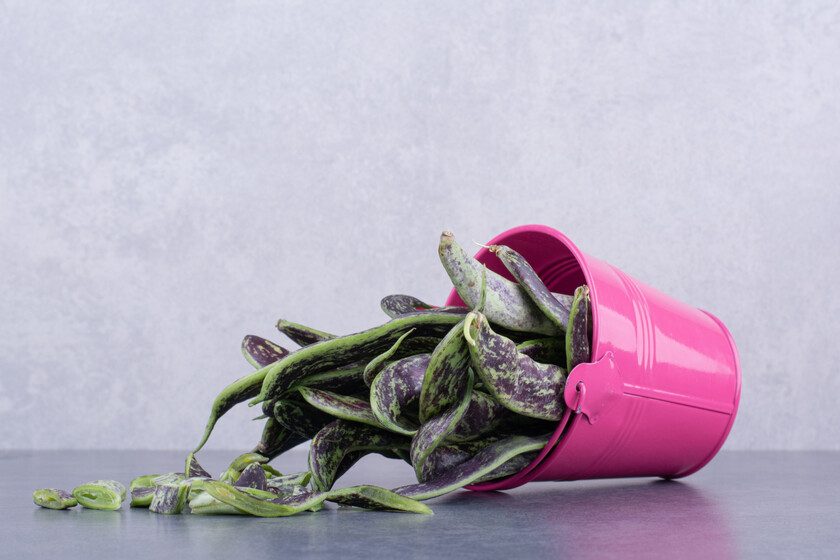 Volver de vacaciones y encontrar las plantas secas por el calor no significa que hayan muerto: así se comprueba