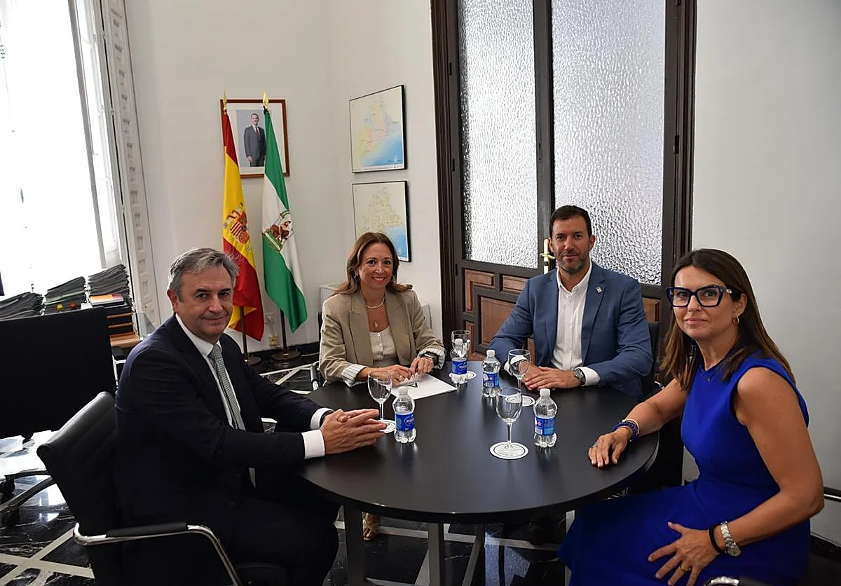 La Junta agiliza la tramitación del Plan Ventilla para reforzar la red eléctrica de la Costa del Sol