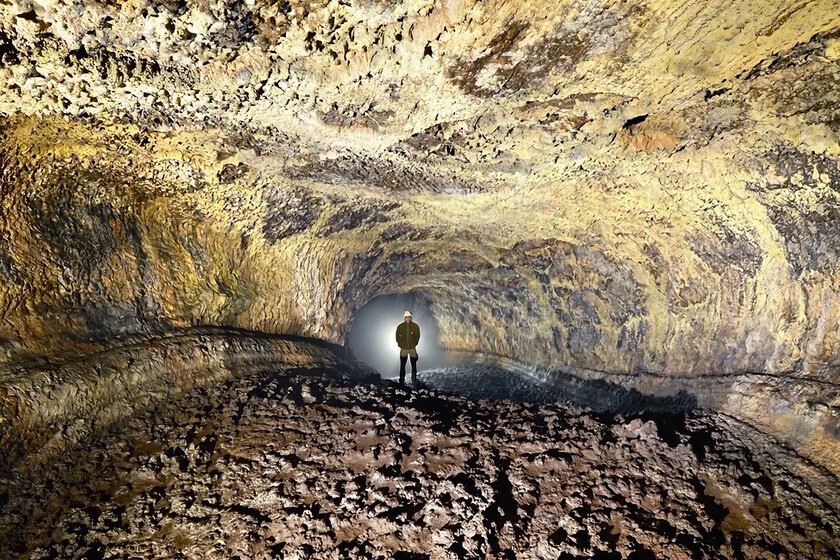 Bajo Tenerife hay un mundo que lleva 27.000 años aislado: dentro de esta cueva viven 190 especies
