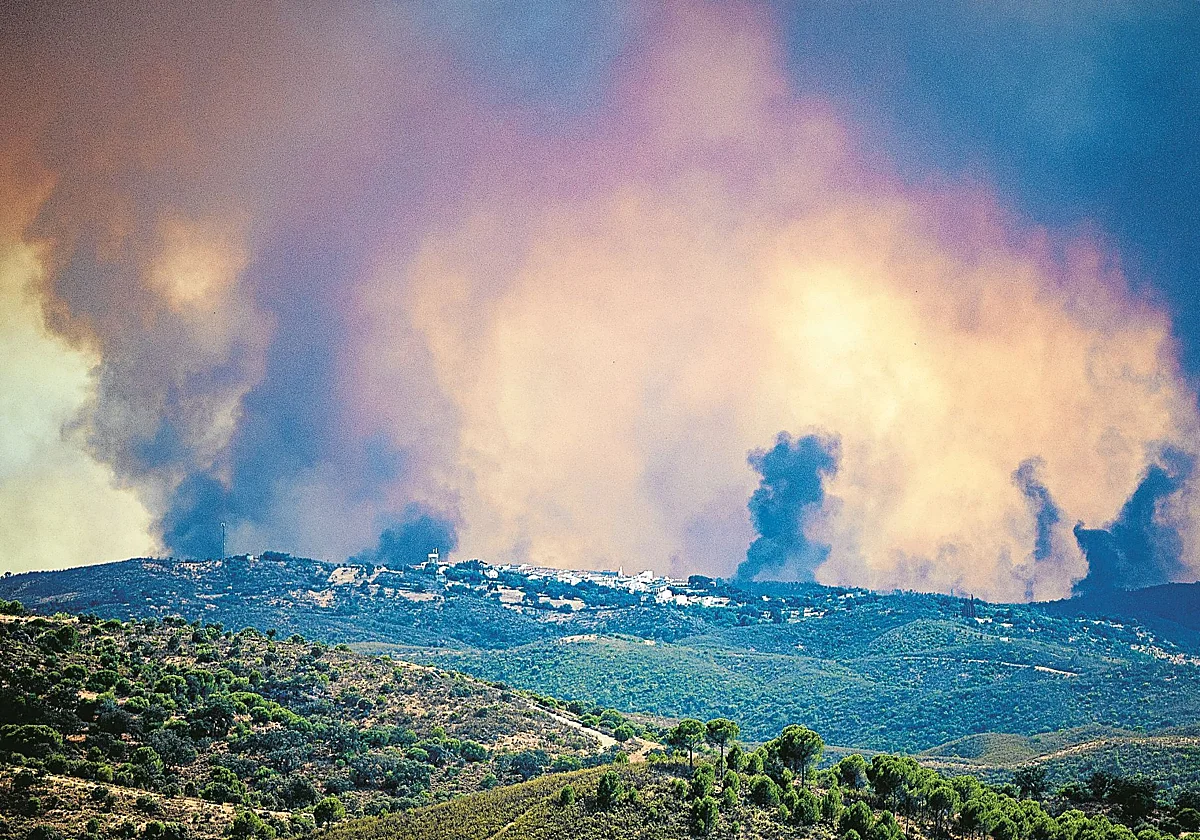 Radiografía de un monstruo: Niebla reinventa las reglas de los incendios