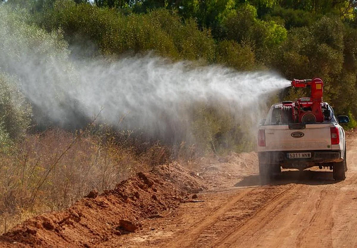 Se elevan a 65 los casos de fiebre del Nilo Occidental en Andalucía