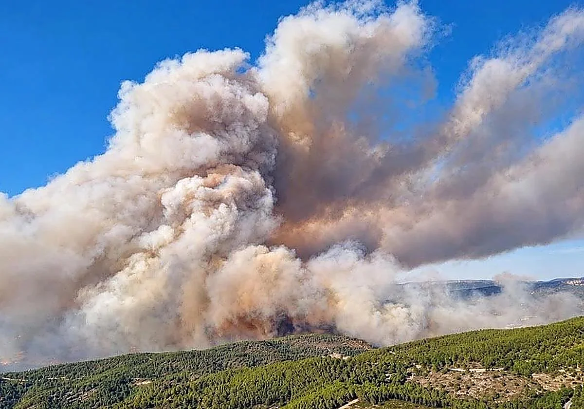 La UME se moviliza para luchar contra el incendio descontrolado de Valencia