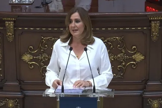 El Ayuntamiento de Valencia pagará los abogados a los vecinos que denuncien pisos turísticos