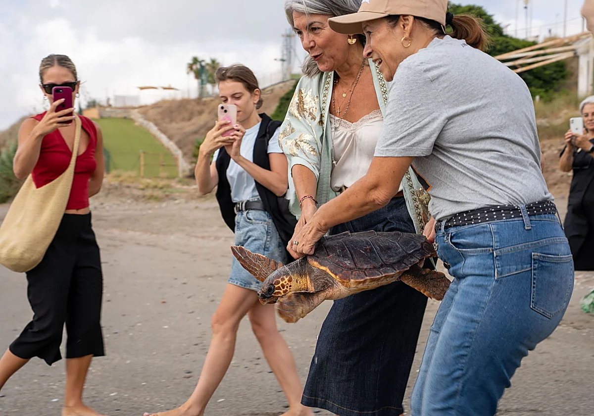 Pepa, la tortuga boba rescatada por segunda vez y de nuevo sana, vuelve al mar en Benalmádena