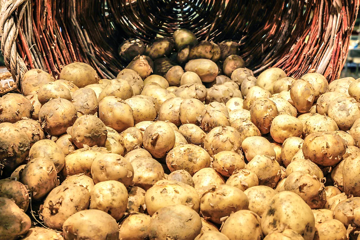Las olas de calor provocan escasez de patatas en Europa