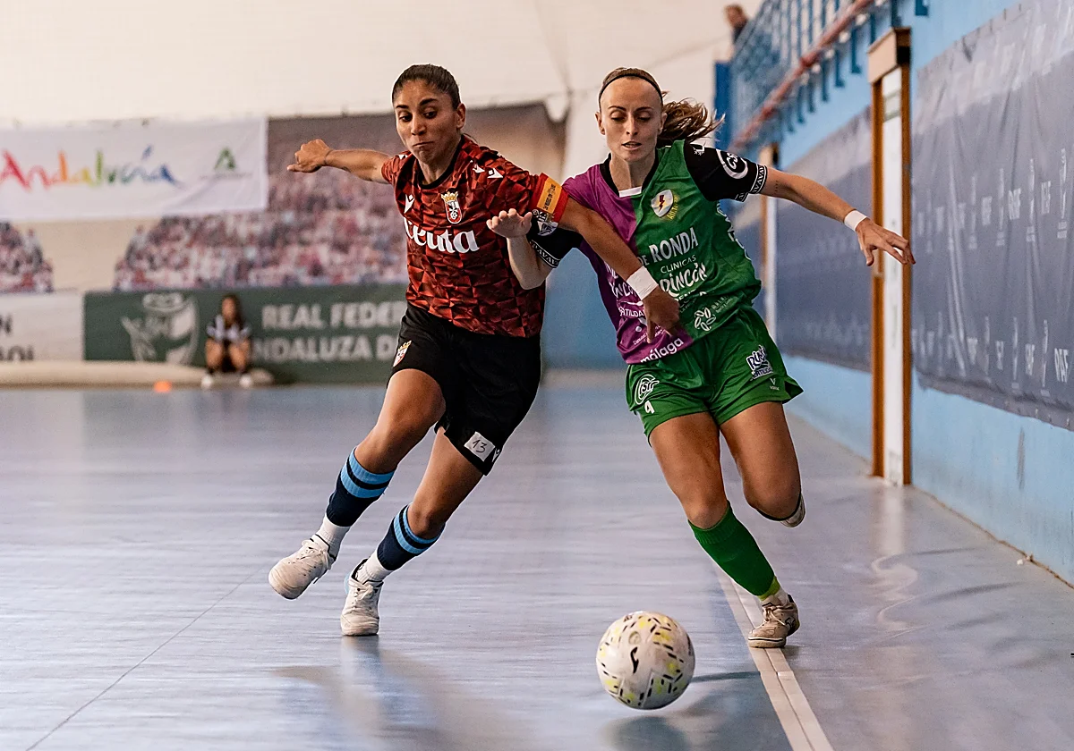 Polideportivo malagueño: Varios equipos de la provincia buscan estrenar su casillero de victorias