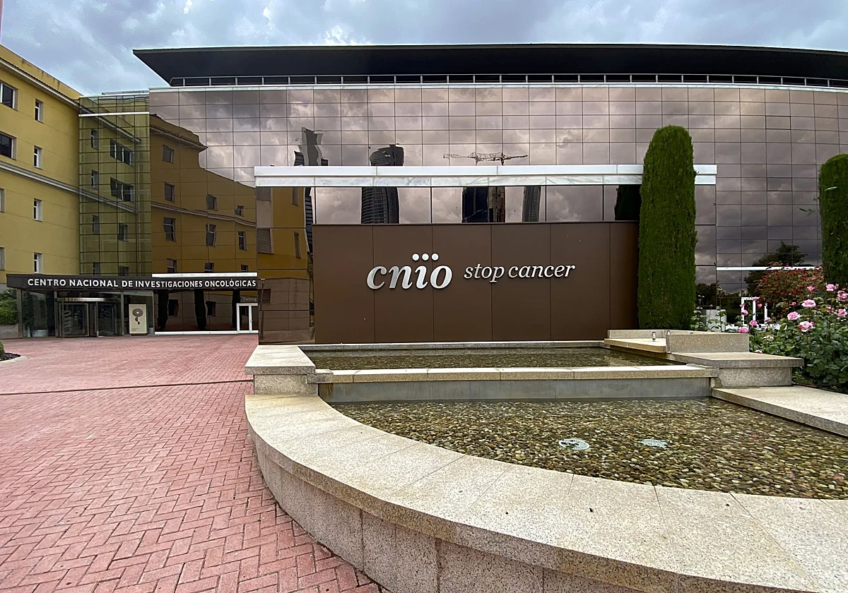 La Justicia anula el despido del directivo del Centro de Investigaciones Oncológicas que destapó la corrupción