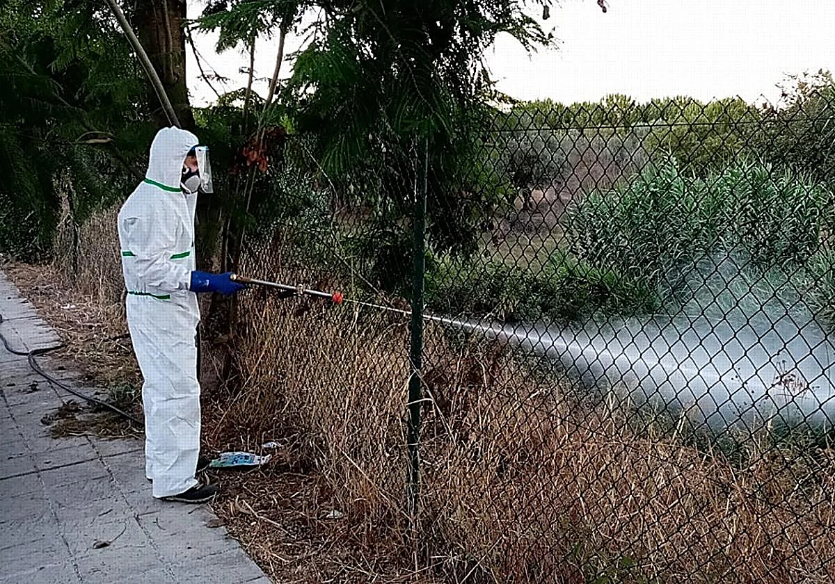 Un hombre ingresado en El Puerto de Santa María por un nuevo caso de virus del Nilo en Andalucía