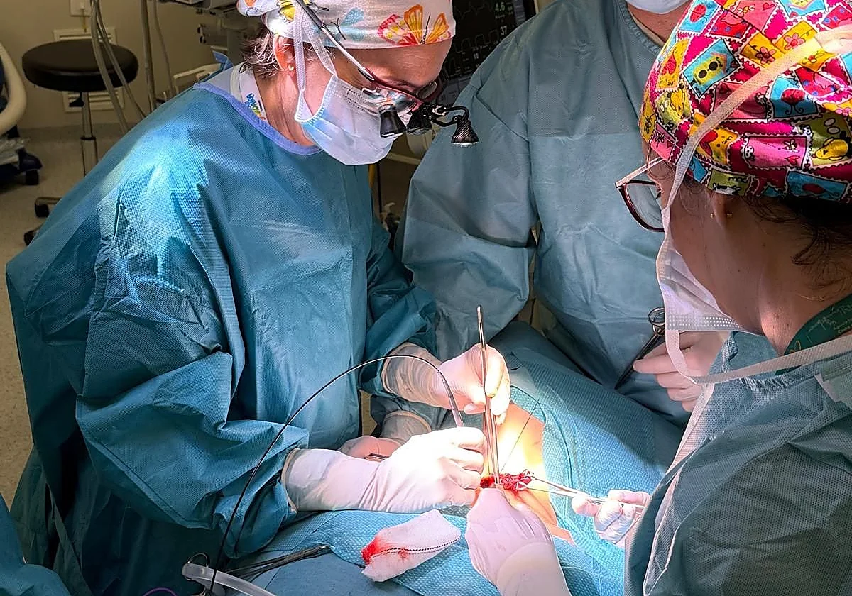 El Hospital Costa del Sol incorpora un dispositivo innovador en cirugía de tiroides