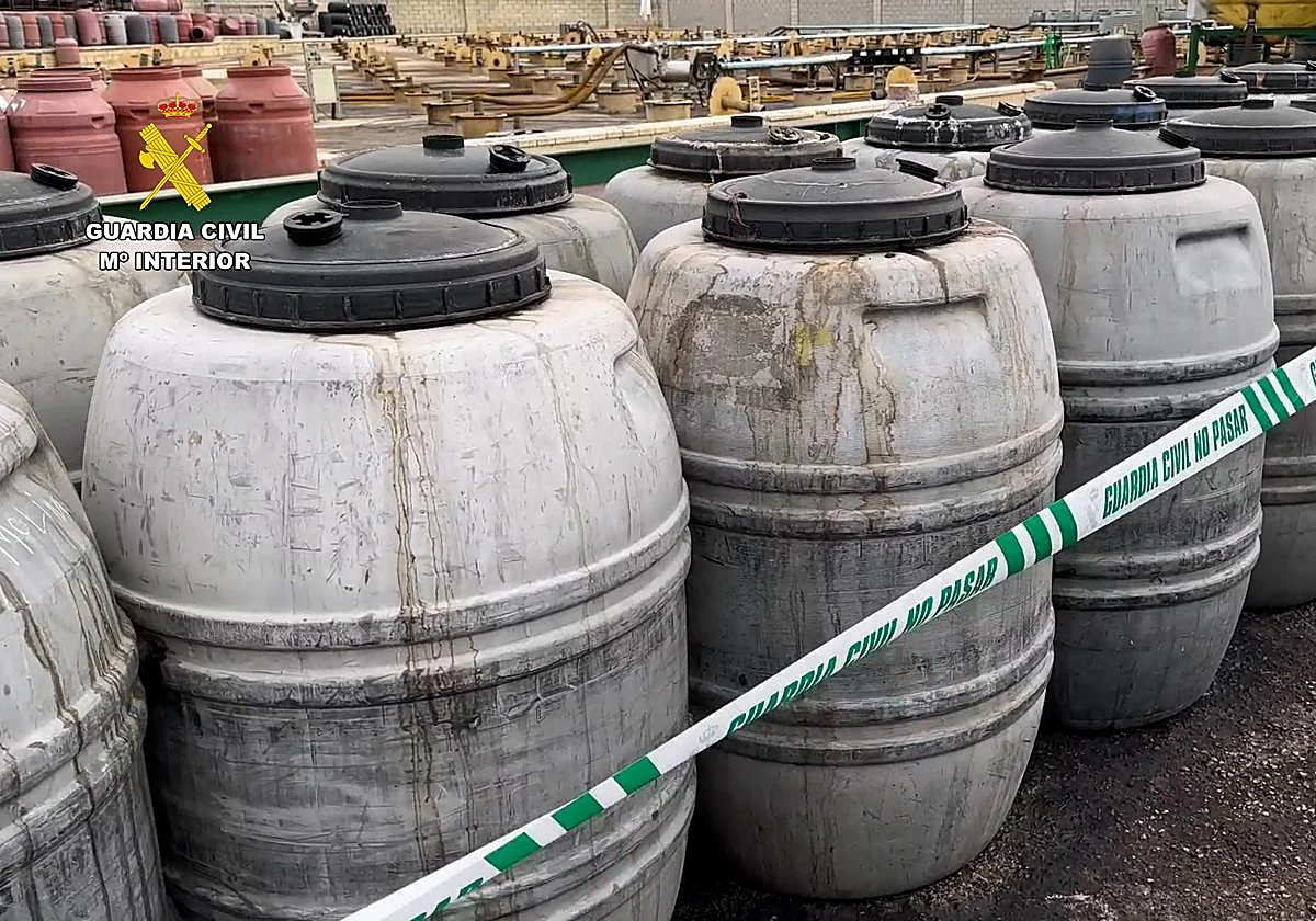 Detenido por estafar más de 1,7 millones de euros a 258 productores de aceituna de Sevilla y Huelva