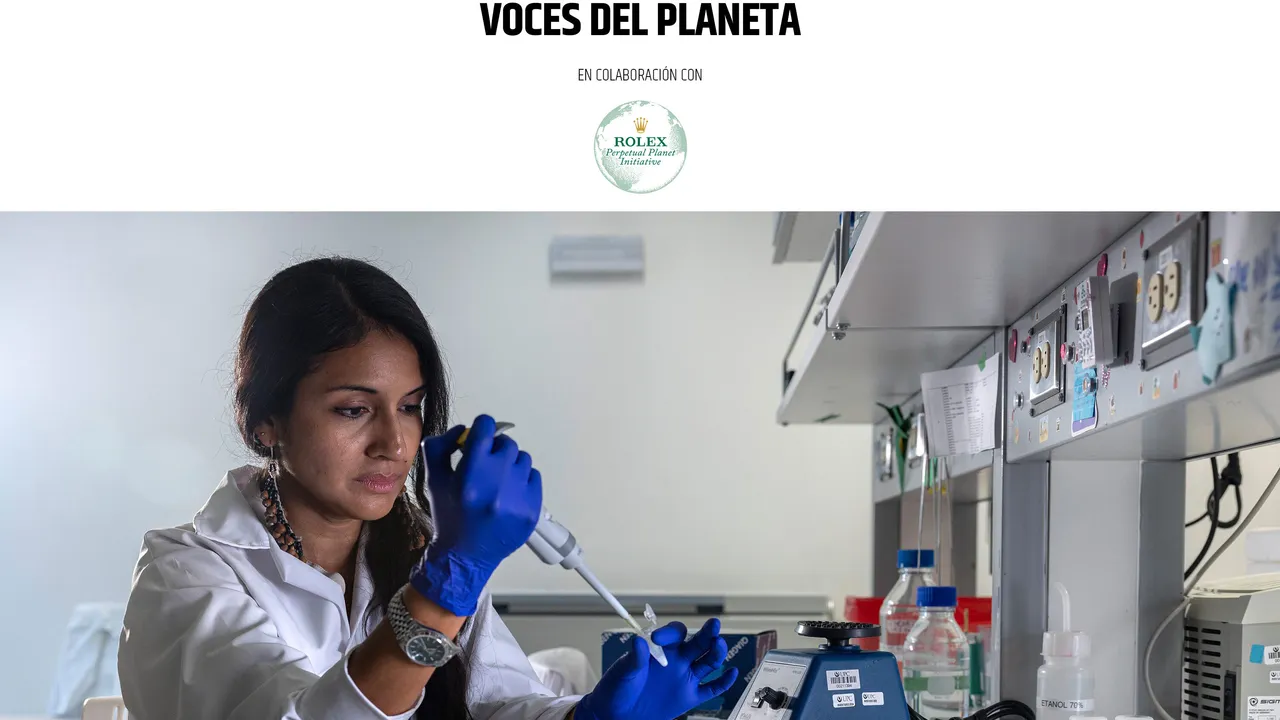 Las abejas sin aguijón de la Amazonía tienen ahora derechos legales gracias al trabajo de una científica peruana