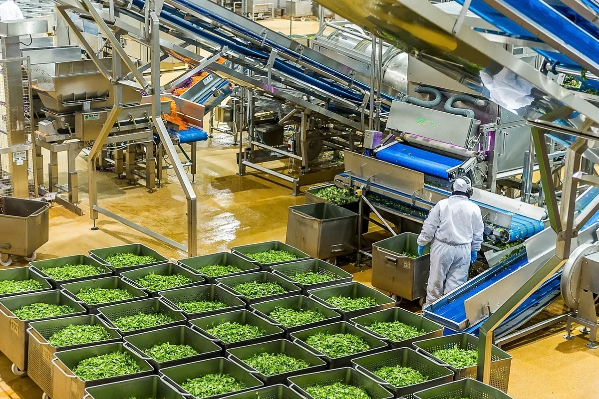 Foodiverse crece casi un 20% tras potenciar su actividad en Alemania