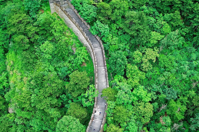 China lleva 48 años plantando árboles para frenar el desierto. Ahora se enfrenta a una paradoja: también está agotando el agua