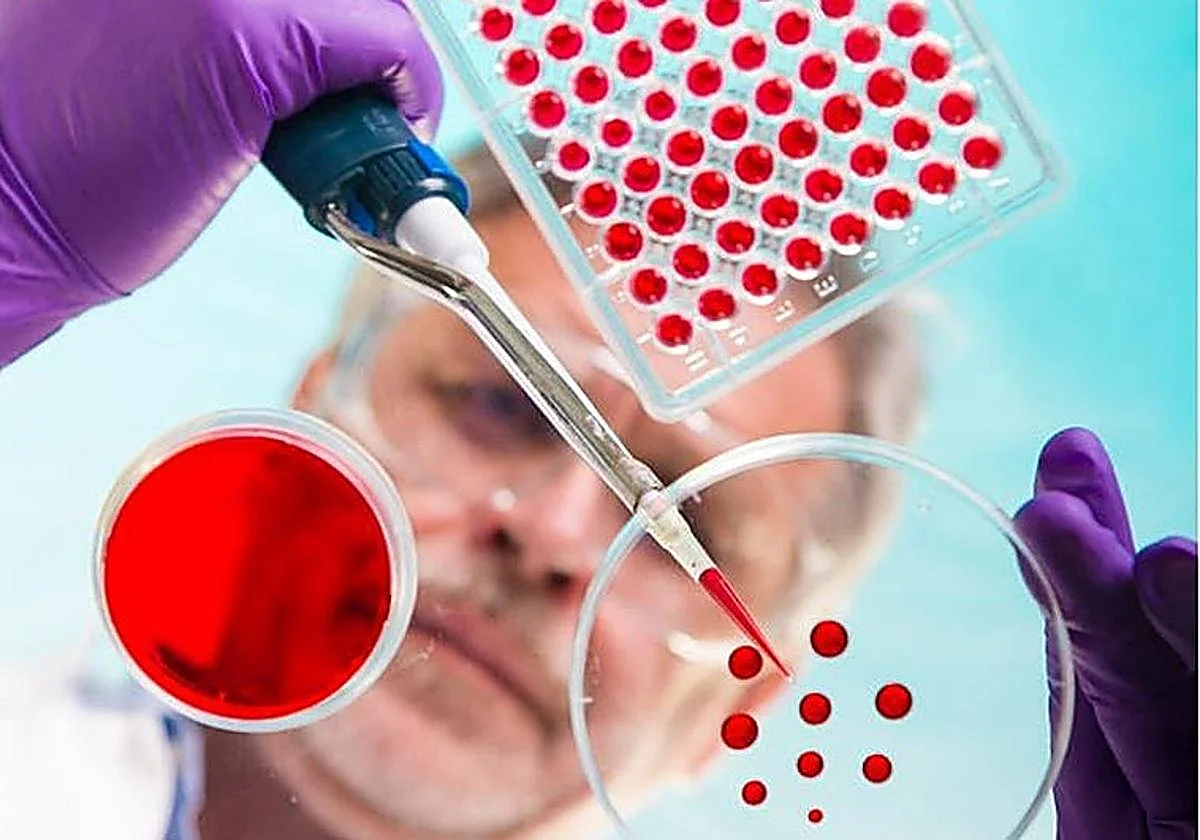 López Trigo: «Los test de edad biológica pueden predecir la probabilidad de sufrir ciertas enfermedades»
