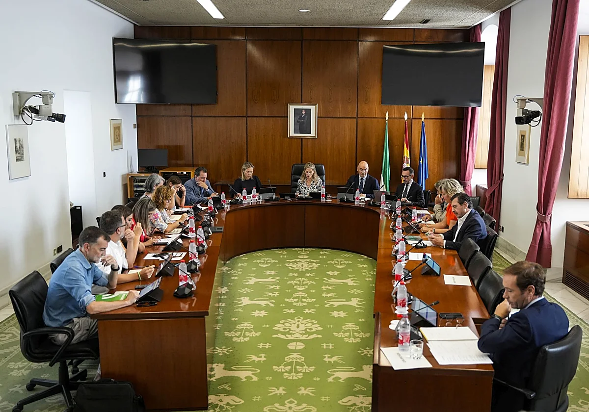 Ceuta versus el cáncer de mama: el Parlamento encalla en la crispación