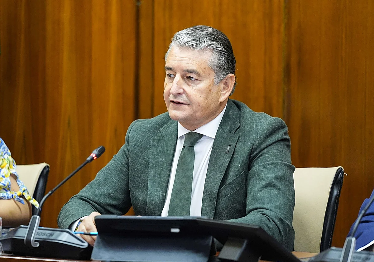 Antonio Sanz recomienda a la oposición que «deje de hacer el ridículo»