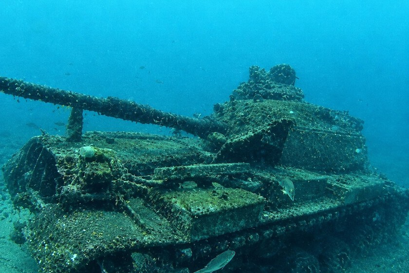 En 1994, Estados Unidos hundió 100 tanques en el Caribe. No sabía que iba a crear un auténtico vergel en el Golfo de México