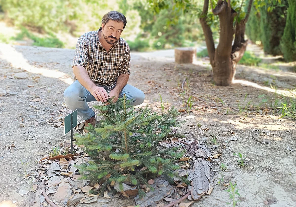 Gabriel Gutiérrez Tejada, el pinsapo se expande dentro y fuera de Málaga