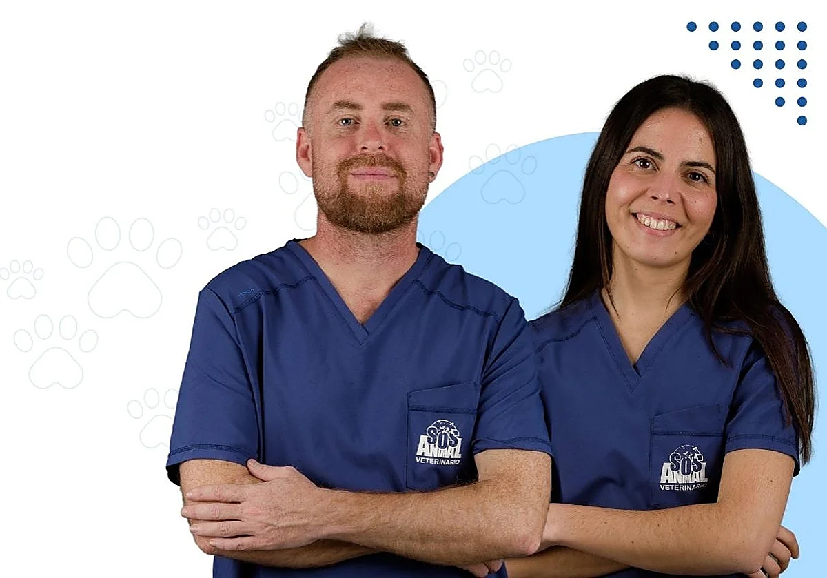 Medicina Interna Veterinaria: la especialidad que conecta todas las piezas