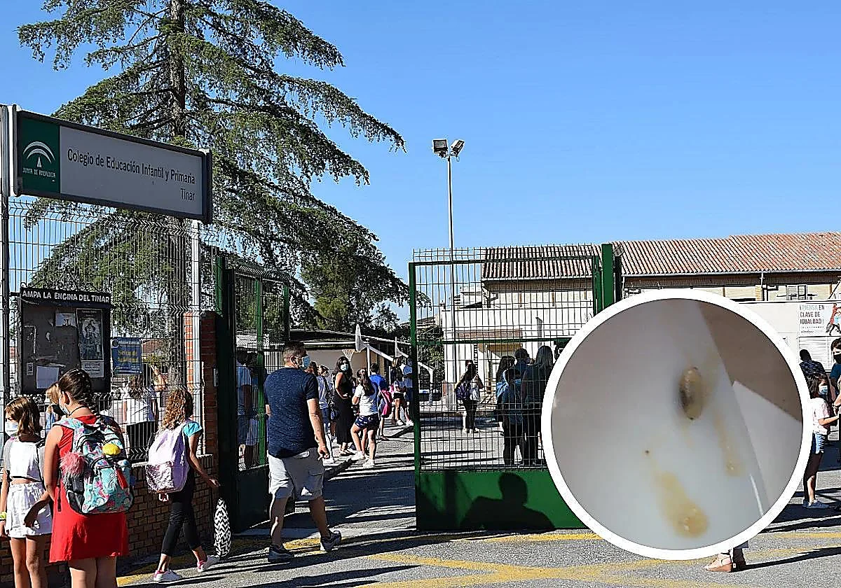 Hallan gusanos en el arroz en el comedor de un colegio de Granada