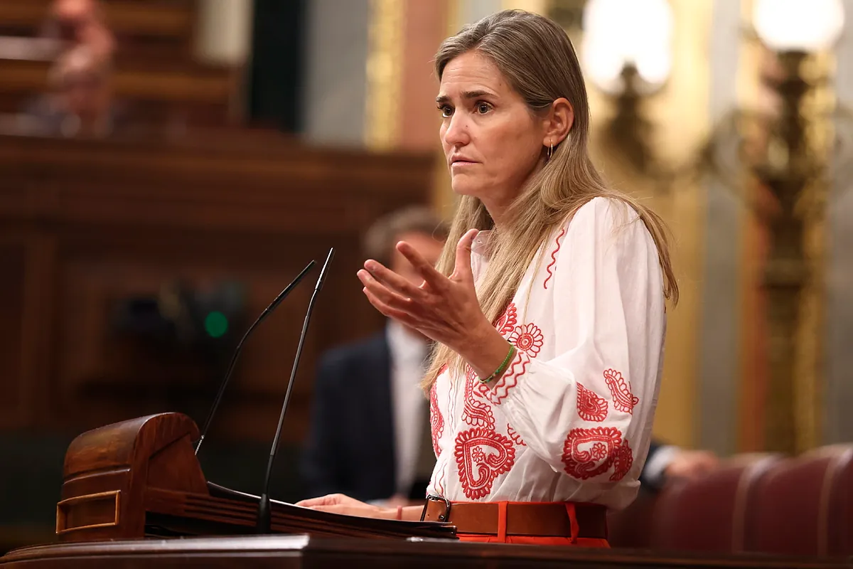 El escudo antiapagones ya supone en la factura de la luz 1,4 de cada 10 euros