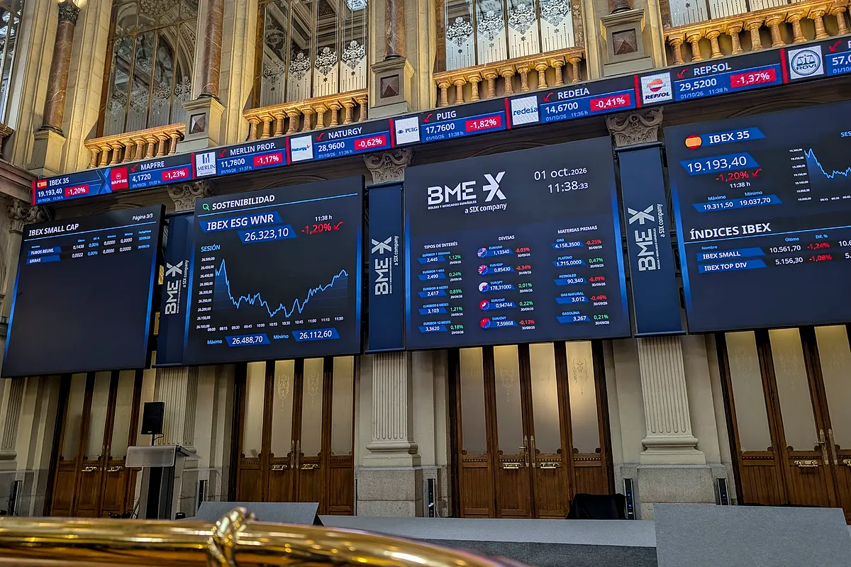 Dónde invierten los fondos de Bolsa española más rentables