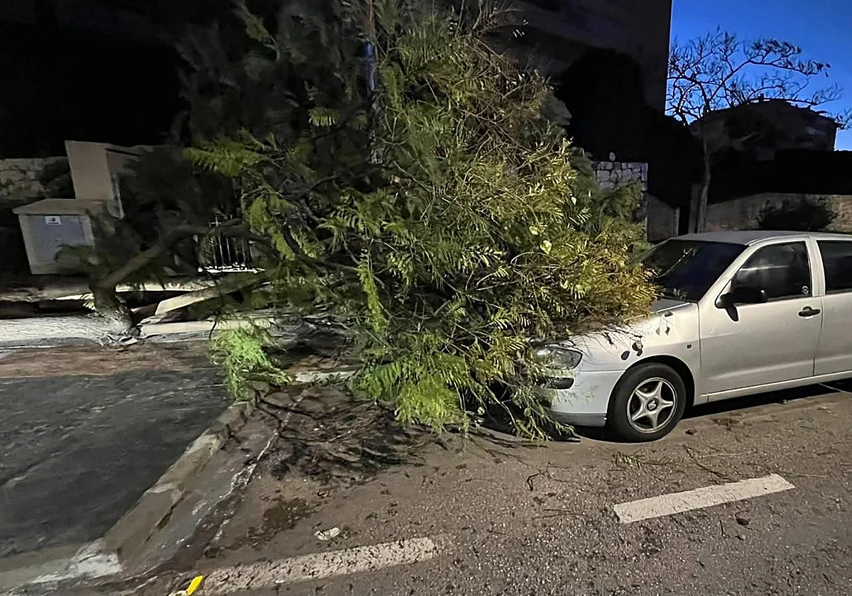 Three Kings Day marked by numerous wind-related incidents on Costa del Sol