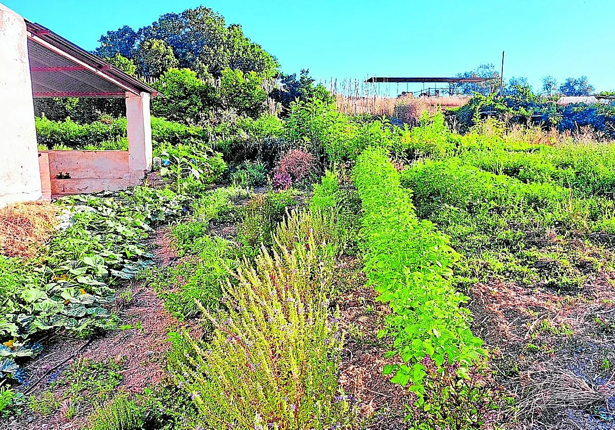 Un año de desarrollo rural para fortalecer el campo del Guadalhorce
