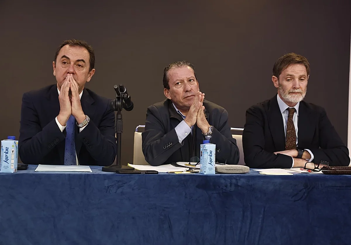 El administrador del Málaga insiste en su inocencia en el 'caso Vera': «Si tuviera otra percepción habría decidido apartarme»