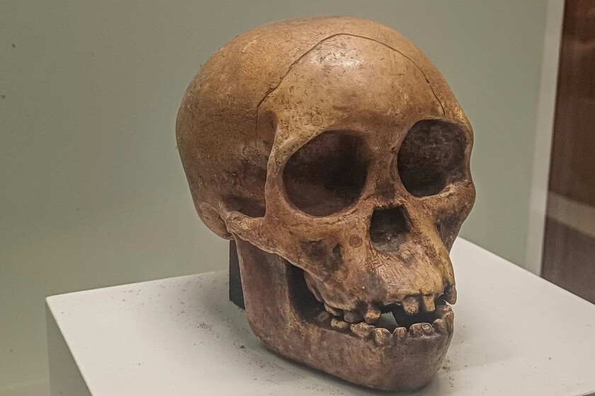 Atapuerca creía ser el origen del 'homo sapiens': ahora le ha salido un nuevo "rival" en Marruecos