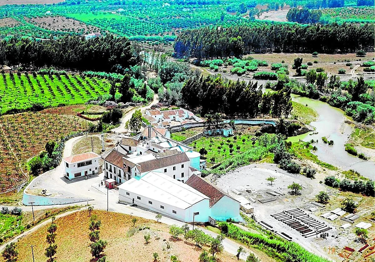 Del trigo al molino: una harinera anclada al campo en Málaga