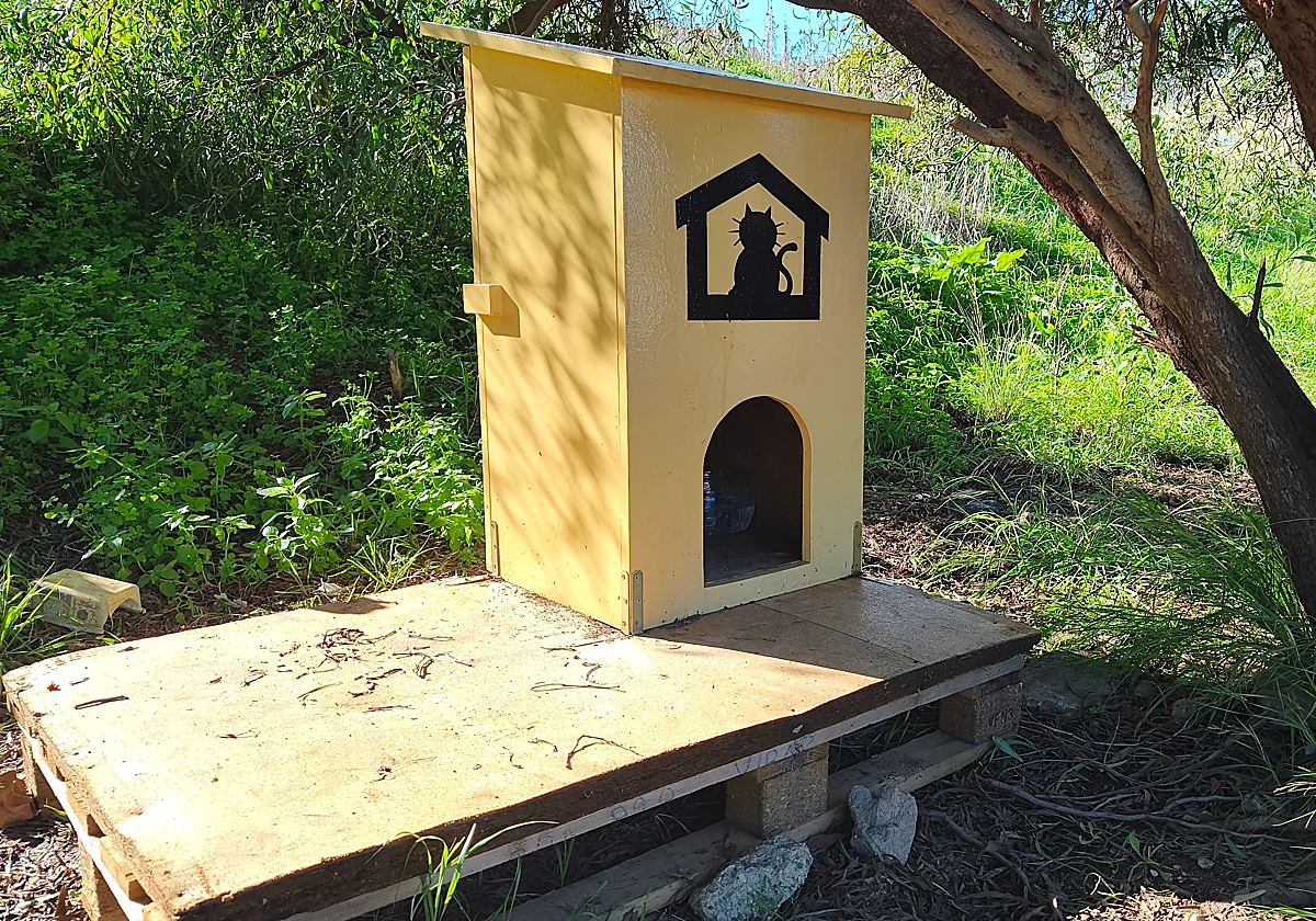 Alhaurín de la Torre gestiona una colonia de 2.000 gatos callejeros